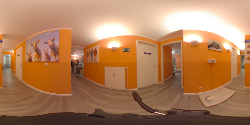 Dr. Marcus Cagliesi unter Buchholz in der Nordheide, Niedersachsen