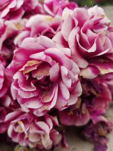 Movie Theater «Megaplex Theatres at Legacy Crossing», reviews and photos, 1075 Legacy Crossing Boulevard, Centerville, UT 84014, USA