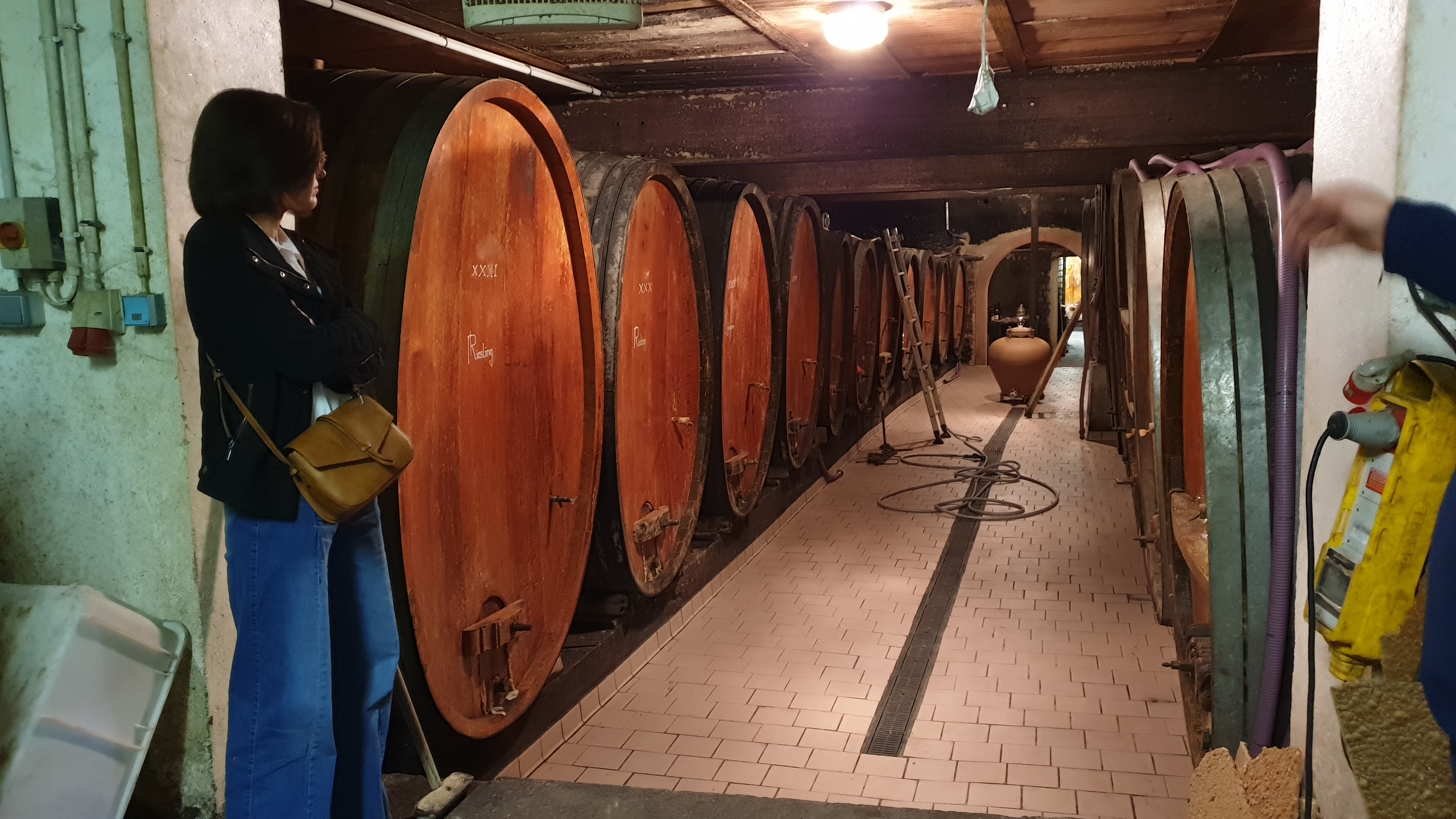 Photo n° 7 de l'avis de Sebastien.u fait le 10/10/2021 à 16:46