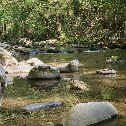 National Park «Great Smoky Mountains National Park», reviews and photos