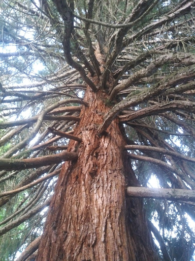 Park «Frink Park», reviews and photos, 398 Lake Washington Blvd S, Seattle, WA 98144, USA