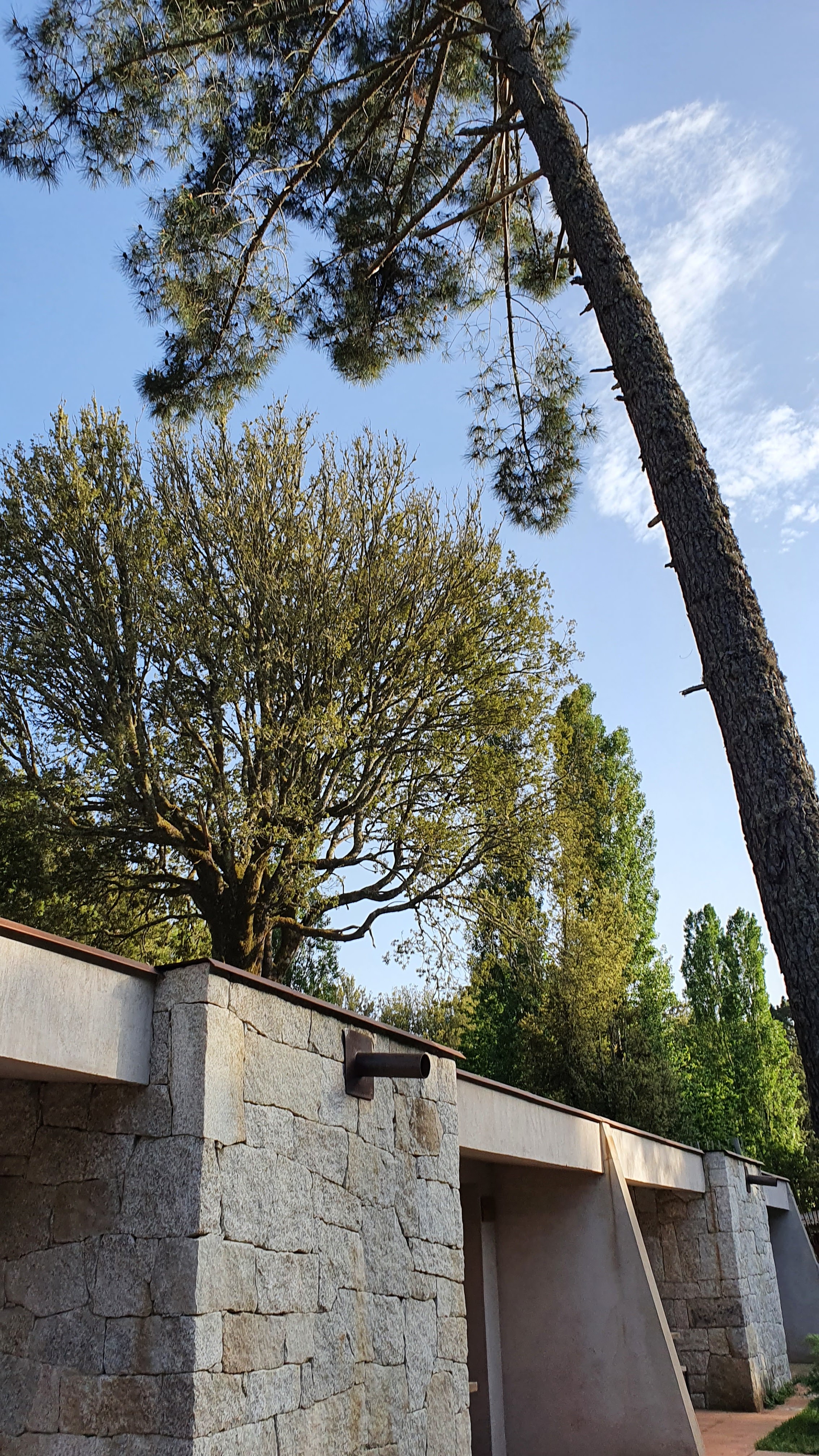 Photo n° 1 de l'avis de Magali.l fait le 25/05/2022 à 17:39