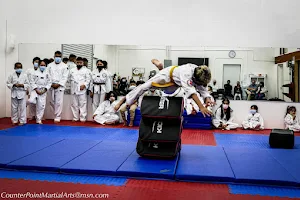 Counter Point Martial Arts image