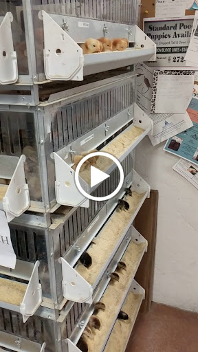 Pet Supply Store «O K Feed & Supply», reviews and photos, 3701 E Fort Lowell Rd, Tucson, AZ 85716, USA