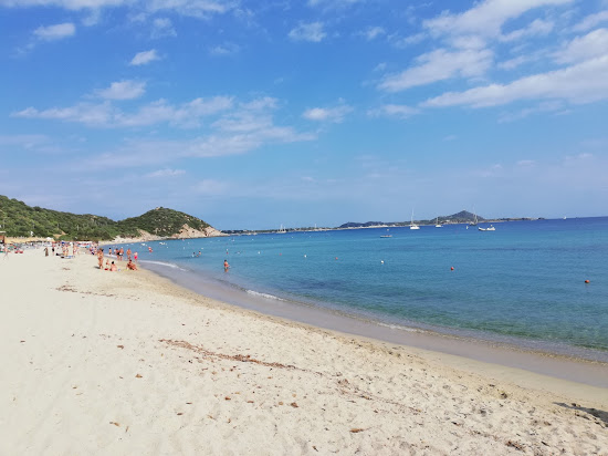 Kampüs Plajı