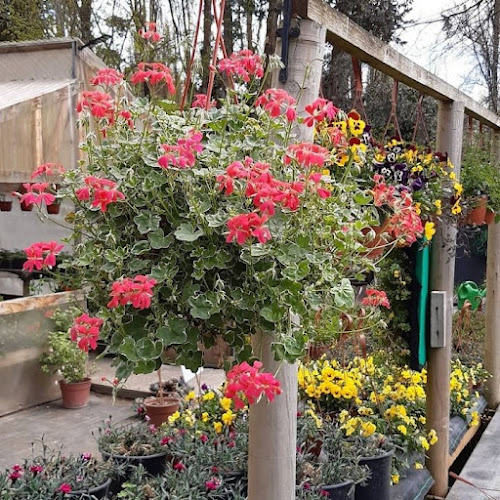 Opiniones de Garden Flower en Hualqui - Centro de jardinería