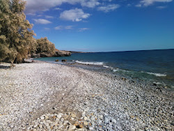 Castello beach'in fotoğrafı çok temiz temizlik seviyesi ile