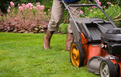 Oasis Lawn & Garden LLC - Professional Lawn Care Waco TX, Lawn Mowing Service, Yard Cleanup, Quality Lawn Care