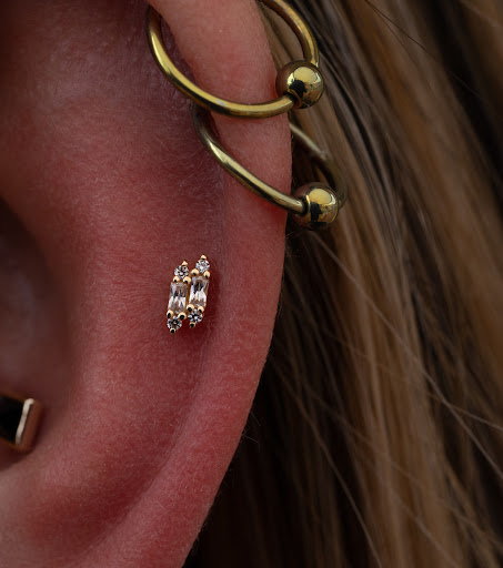 Explore ant tattoo ideas, creative tattoo ideas in Roanoke, available at Clove Piercing & Fine Jewelry