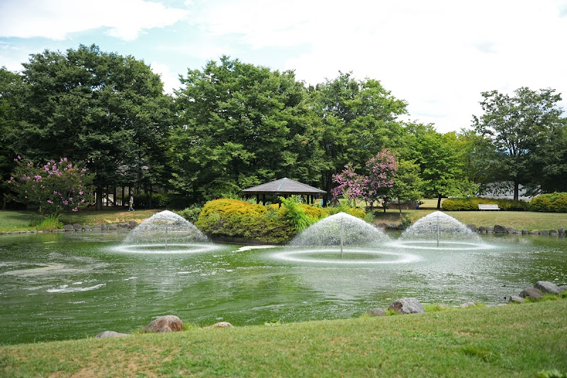 小布施総合公園 長野県小布施町大島 公園 公園 グルコミ