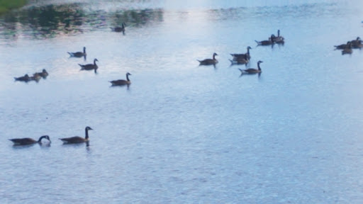 Park «A.B. Sawyer Park», reviews and photos, 9300 Whipps Mill Rd, Louisville, KY 40242, USA