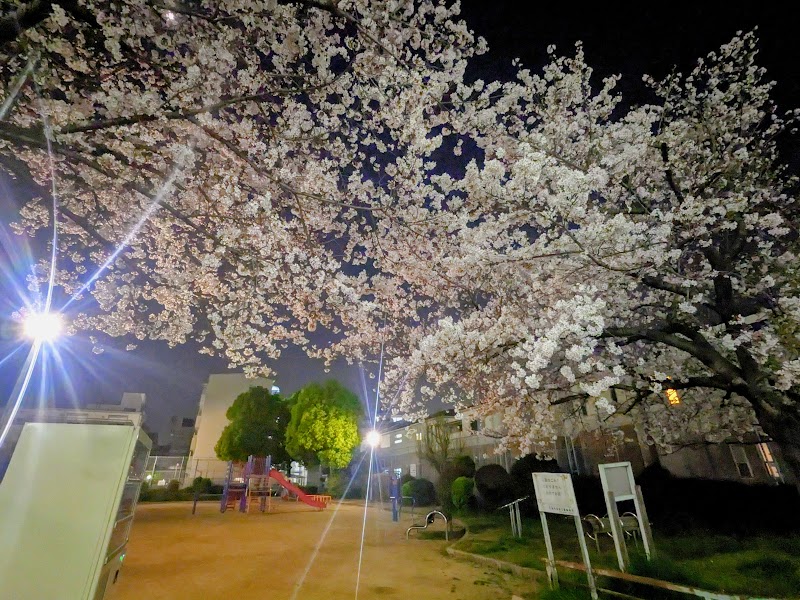 清水丘ふれあい公園