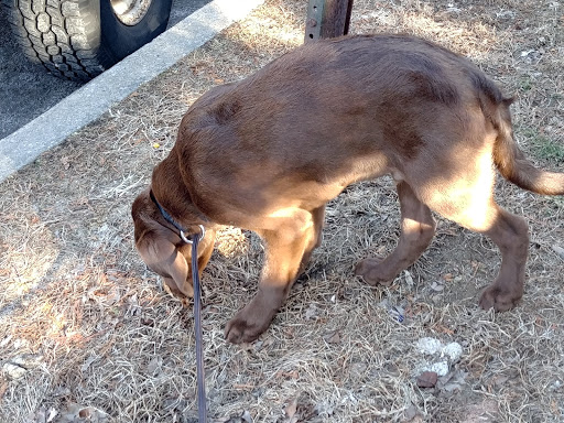 Pet Supply Store «Petco Animal Supplies», reviews and photos, 10 Waterfront Pl, Port Chester, NY 10573, USA