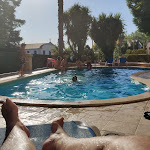 Photo n°1 de l'avis de Bruno.l fait le 04/07/2022 à 09:14 sur le  Hotel Sol e Serra à Castelo de Vide