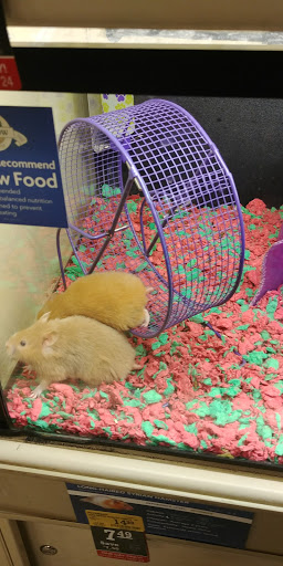Pet Supply Store «PetSmart», reviews and photos, 4550 W Lake Mary Blvd, Lake Mary, FL 32746, USA