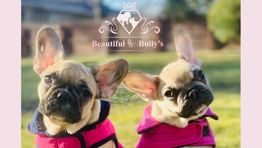 Photo of Beautiful Bullys
