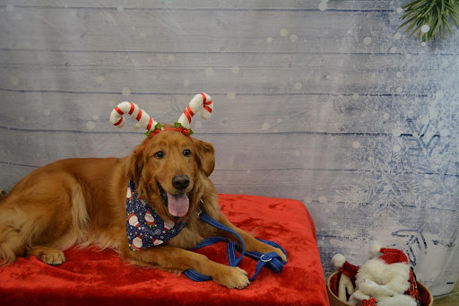 Pet Supply Store «The Natural Pet Enrichment Center», reviews and photos, 6720 Royalton Rd, North Royalton, OH 44133, USA