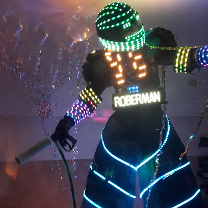ROBERMAN robot led show