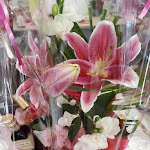 Photo n° 1 de l'avis de valentin.o fait le 15/07/2018 à 10:20 pour Lavande Papillon à Saint-Florent-sur-Cher