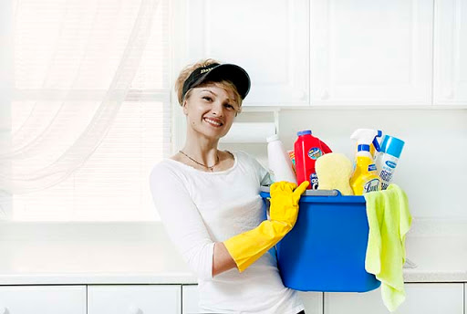Bestmaid247 - Domestic Help services