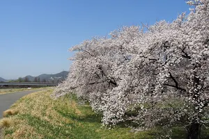 Saigawa Kasenjiki Park image