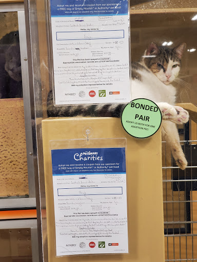 Pet Supply Store «PetSmart», reviews and photos, 10697 E US Hwy 36, Avon, IN 46123, USA
