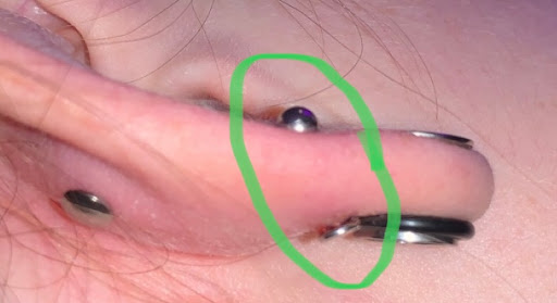 Explore celtic dragon tattoo ideas, creative tattoo ideas in Keene, available at Area 52 Tattoo