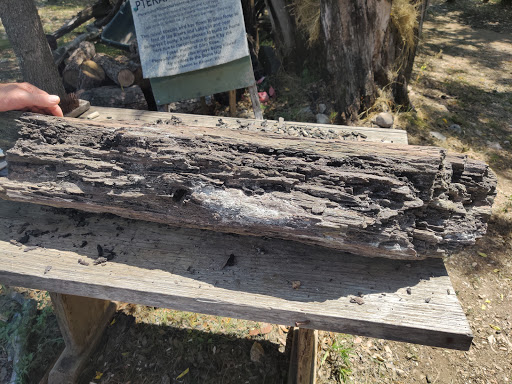 Gift Shop «Stone Hut Fossil Shop», reviews and photos, 1184 FM 205, Glen Rose, TX 76043, USA