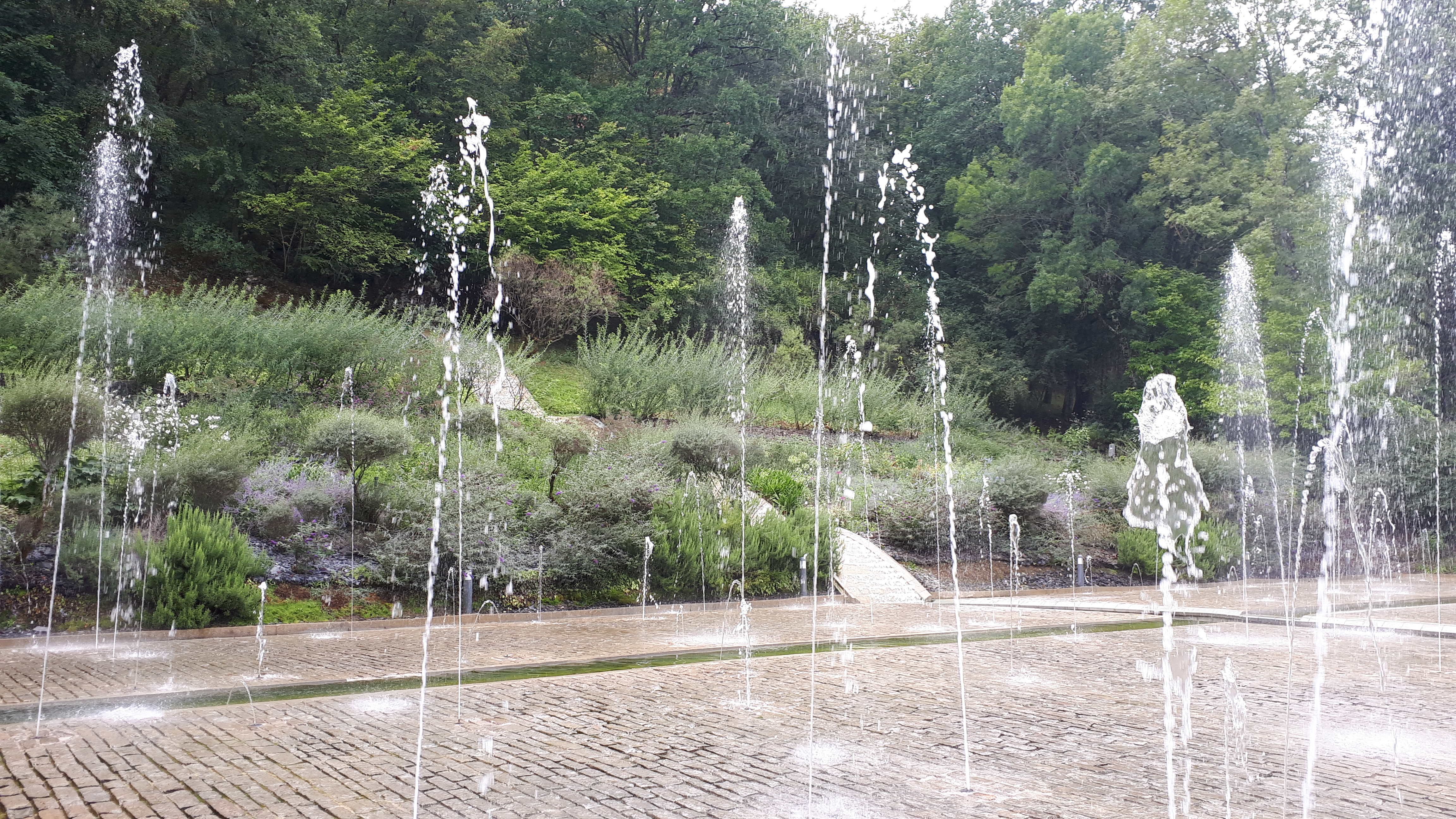 Photo n° 30 de l'avis de Cécile.i fait le 22/08/2020 à 17:28