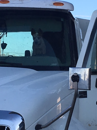 Tire Shop «Hohenwald Tire & Service Center», reviews and photos, 253 N Park St, Hohenwald, TN 38462, USA