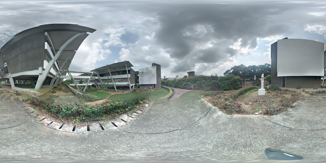 Faculty Of Law