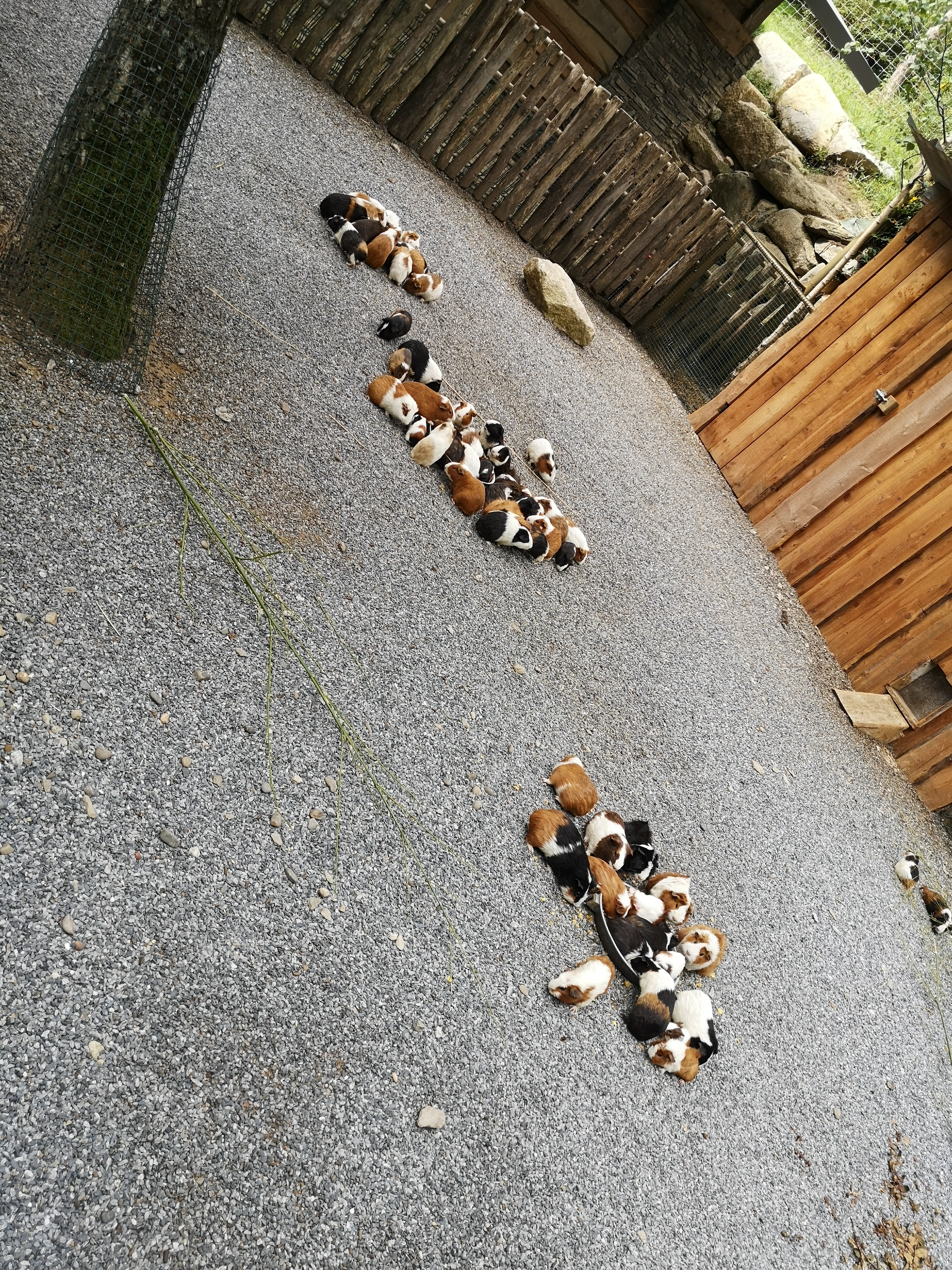 Photo n° 33 de l'avis de Xxx.x fait le 14/08/2020 à 21:01