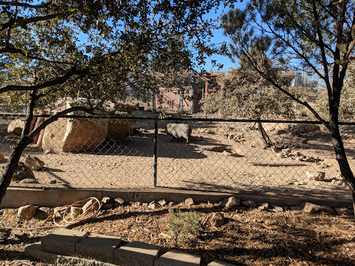 Zoo «Heritage Park Zoological Sanctuary», reviews and photos, 1403 Heritage Park Rd, Prescott, AZ 86301, USA