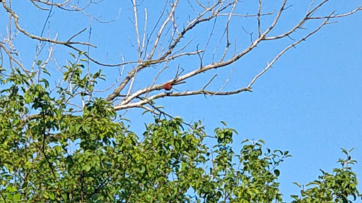 State Park «James Pate Philip State Park», reviews and photos, 2050 W Stearns Rd, Bartlett, IL 60103, USA