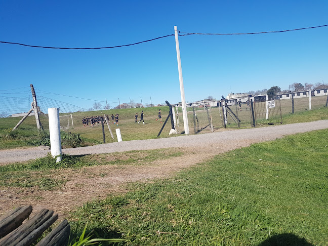 Opiniones de Cancha Danubio Ingeniero del campo en Montevideo - Campo de fútbol