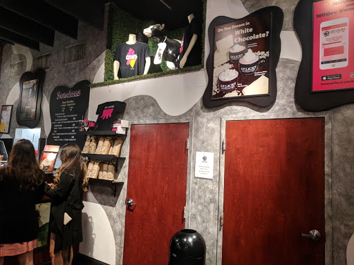 Ice Cream Shop «J.P. Licks», reviews and photos, 311 Harvard St, Brookline, MA 02446, USA