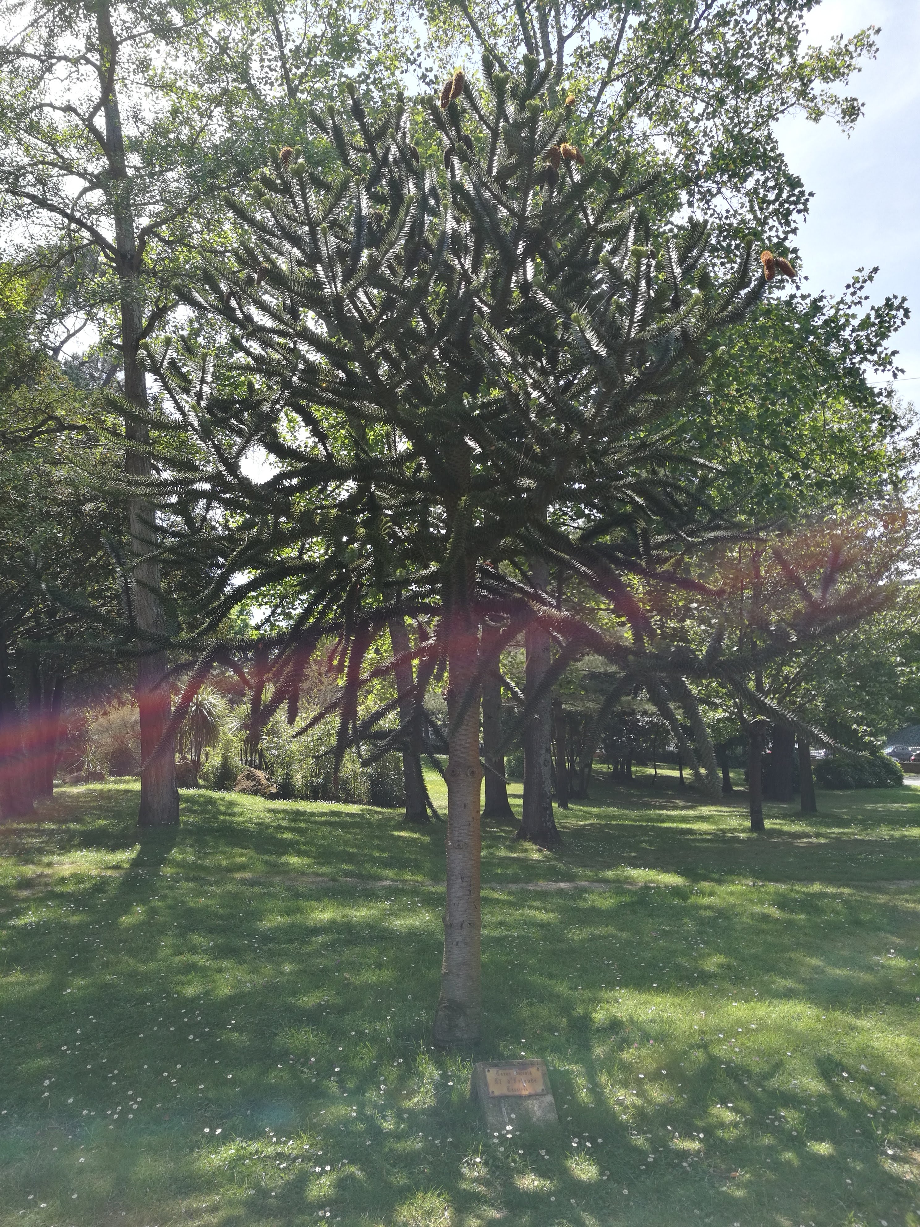 Photo n° 7 de l'avis de le.o fait le 29/05/2018 à 20:14