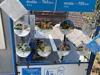 Awaji Blue Coast ice cream