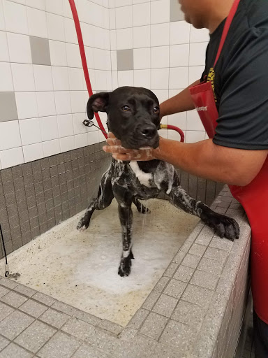 Pet Supply Store «Pet Food Express», reviews and photos, 372 Woodside Rd, Redwood City, CA 94061, USA