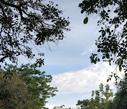 Taman Pemda Sido Dame photo