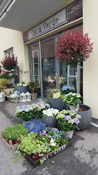Casa Verde Blumen GmbH