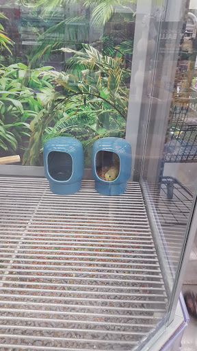 Pet Supply Store «Petco Animal Supplies», reviews and photos, 5263 Campbell Blvd, Nottingham, MD 21236, USA