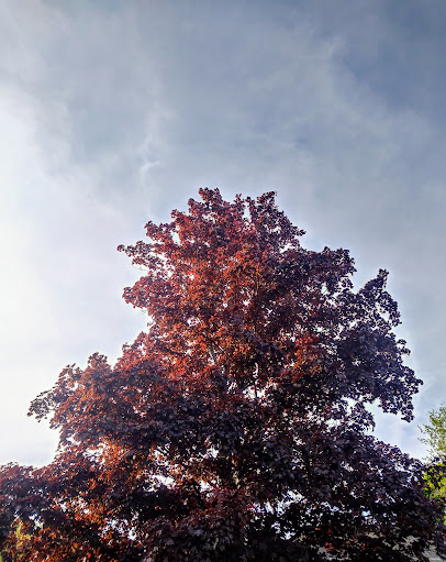 Country Club «Oak Hill Country Club», reviews and photos, 145 Kilbourn Rd, Rochester, NY 14618, USA