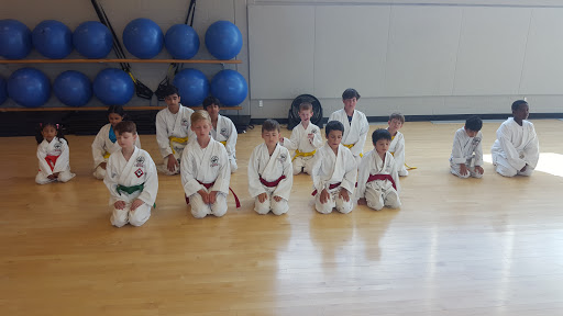 Martial Arts Classical Martial Arts Centre Milton Keirin Dojo In 605 Santa Maria Blvd