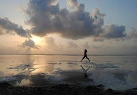 Global Routes - Photo 5 - Car repair in Portland, OR, Portland