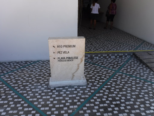 Travel Agency «As You Wish Travel Agency», reviews and photos, 264 N Pleasant St, Oberlin, OH 44074, USA