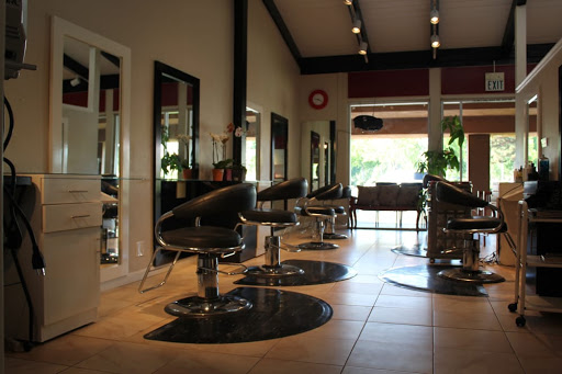 Kanzi Hair Studio