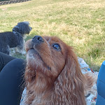 Photo n°1 de l'avis de Massimiliano.o fait le 16/08/2023 à 10:13 sur le  Rifugio Mainardi à Pian delle macinare