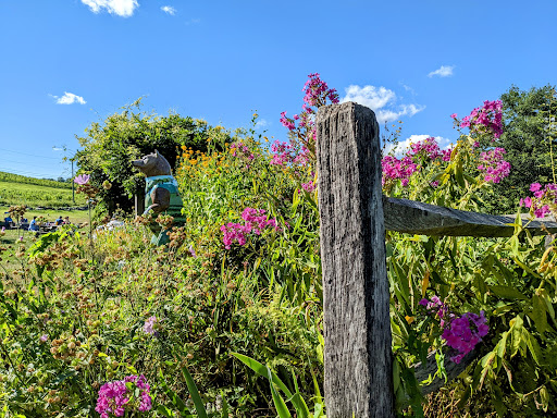 Vineyard «Hopkins Vineyard», reviews and photos, 25 Hopkins Rd, Warren, CT 06777, USA