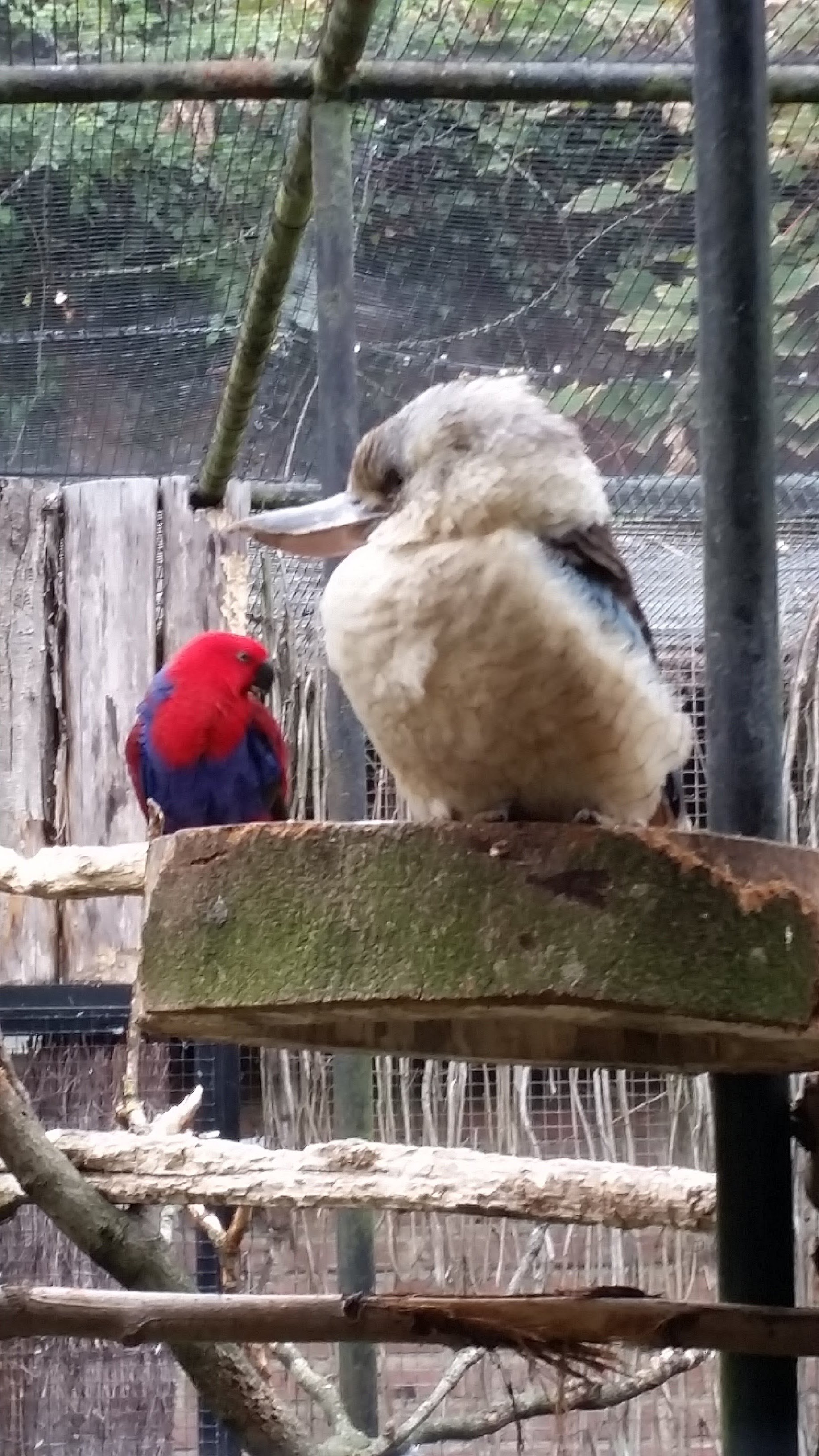 Photo n° 9 de l'avis de Adeline. fait le 08/10/2017 à 15:43